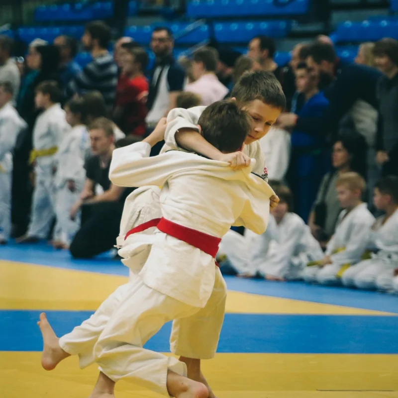 markuzsm-judo-4454836_1920